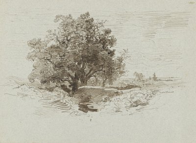 Group of Oaks near Wolfheze, the Netherlands by Johannes Warnardus Bilders